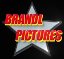 Brandl-Pictures-Zeichen_3D_klein
